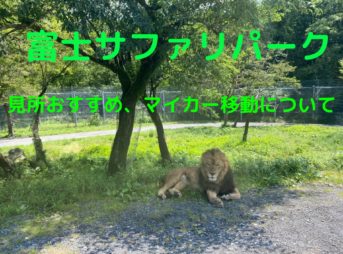 富士サファリパーク内をマイカー移動することについて解説